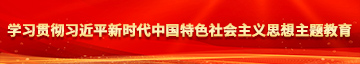 大鸡巴日进去视屏学习贯彻习近平新时代中国特色社会主义思想主题教育