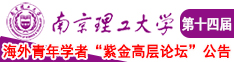 日本大屌操逼南京理工大学第十四届海外青年学者紫金论坛诚邀海内外英才！